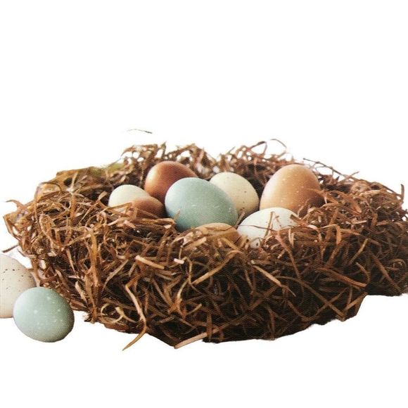 Threshold Bird Nest and 10 Eggs table Decor - Picture 1 of 3